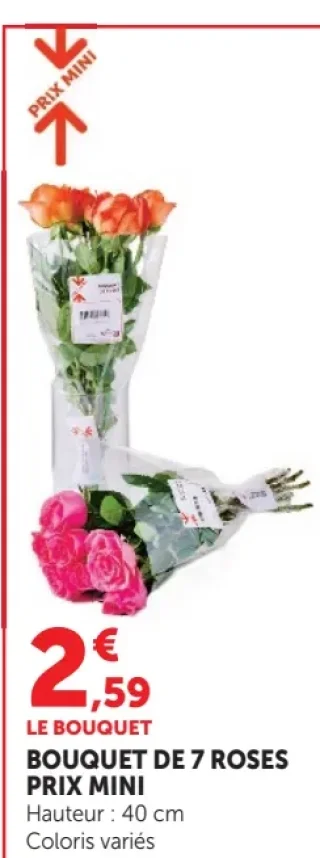 Bouquet de 7 roses Prix Mini