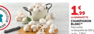 CHAMPIGNON BLANC