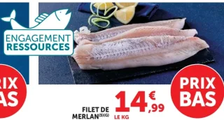 Filet de merlan