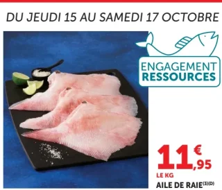 Aile de raie
