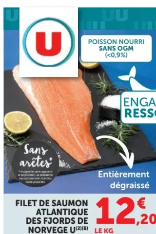 Filet de saumon atlantique des fjords de Norvège U