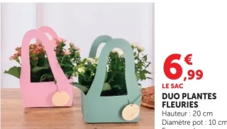 Duo plantes fleuries