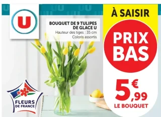 Bouquet de 9 tulipes de glace U