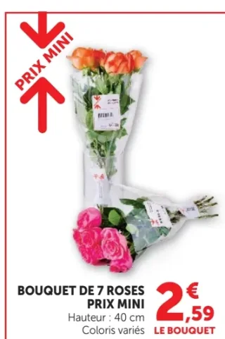 BOUQUET DE 7 ROSES PRIX MINI