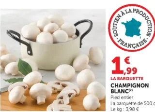 Champignon Blanc