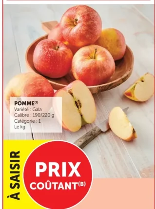Pomme Gala