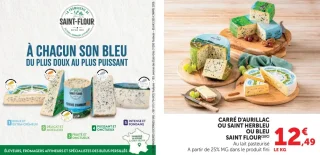 Carré d'Aurillac ou Saint Herbleu ou Bleu Saint Flour