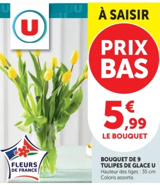 Bouquet de 9 tulipes de glace U