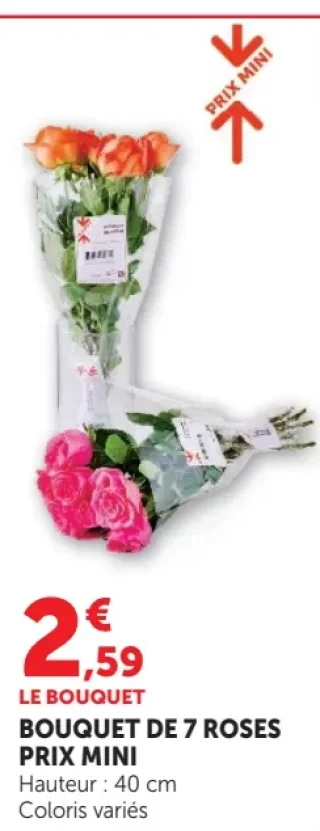Bouquet de 7 roses Prix Mini