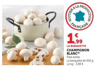 CHAMPIGNON BLANC Pied entier