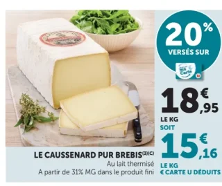 Le Caussenard pur Brebis