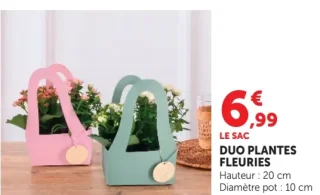 Duo plantes fleuries