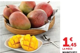 Mangue