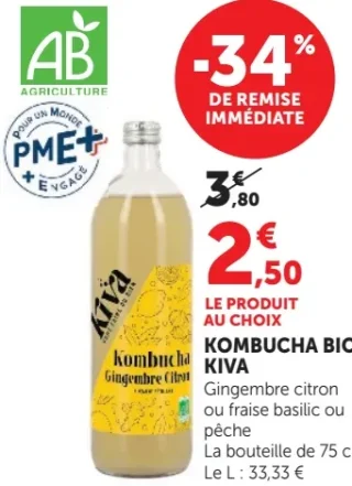 Kombucha Bio Kiva