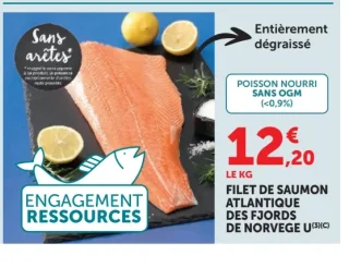 Filet de saumon