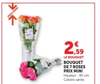 Bouquet de 7 roses