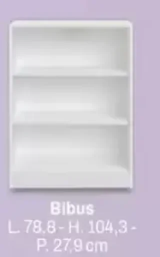 Bibus Mayence