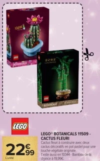 LEGO® BOTANICALS 11509 - CACTUS FLEURI