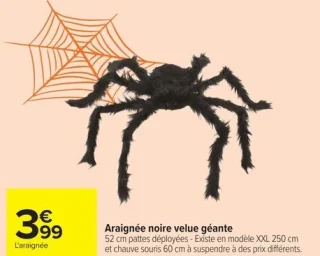 Araignée noire velue géante