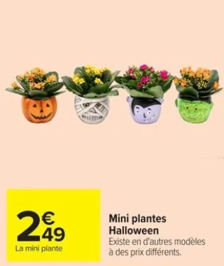 Mini plantes Halloween