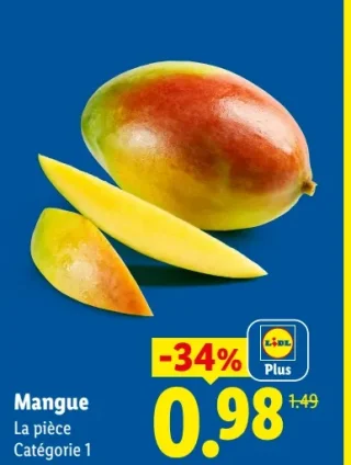 Mangue