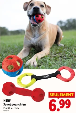 NERF Jouet pour chien