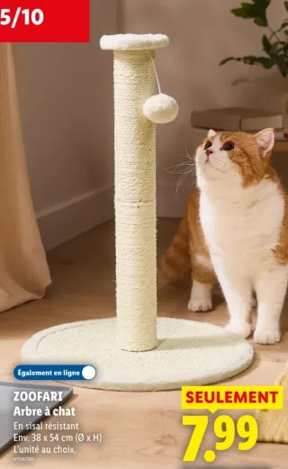 ZOOFARI Arbre à chat