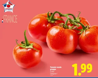 Tomate ronde grappe