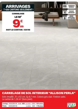 Carrelage de sol intérieur "Allison Perla"