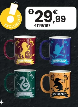 Set cadeau 4 mugs 300 ml Harry Potter