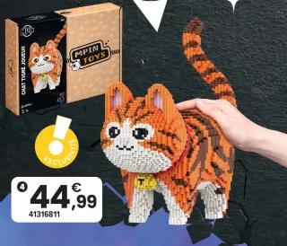 Chat tigré joueur 14 ans