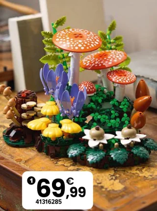 LEGO Botanicals 11505 Les Champignons des Bois