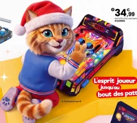 FLIPPER ÉLECTRONIQUE