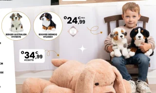 Peluche chien 27 cm Berger Australien ou Bouvier Bernois
