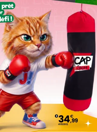 Sac de frappe CAP Sport