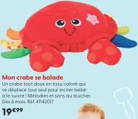Mon crabe se balade t'mimi