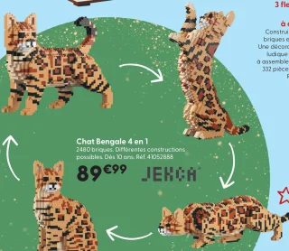 Chat Bengale 4 en 1 JEKCA