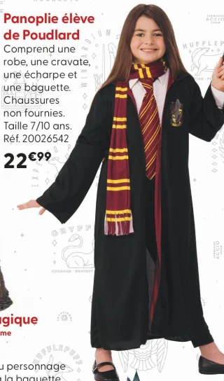 Panoplie élève de Poudlard Harry Potter