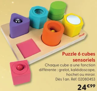 Puzzle 6 cubes sensoriels Janod