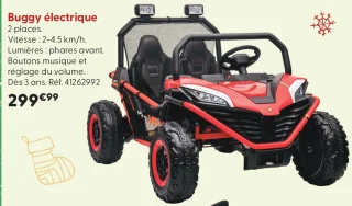 Buggy électrique 2 places
