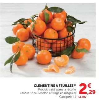Clementine a feuilles