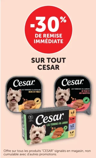 Nourriture pour chiens Cesar