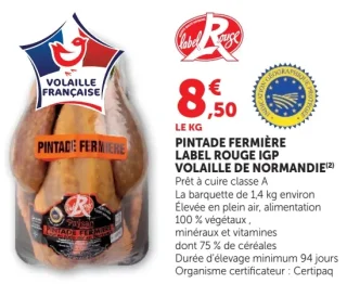 Pintade fermière Label Rouge IGP Volaille de Normandie