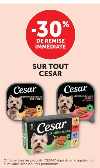 Produits pour chiens Cesar