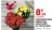 Promo Chrysanthème américain unicolore ou tricolore