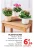 Promo Plante fleurie en cache pot céramique Toussaint