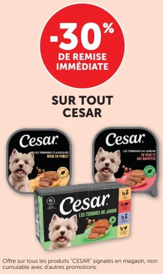 Gamme de pâtées pour chien Cesar