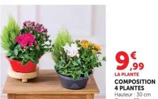 Composition 4 plantes