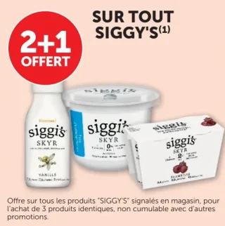 Produits Skyr Siggy's
