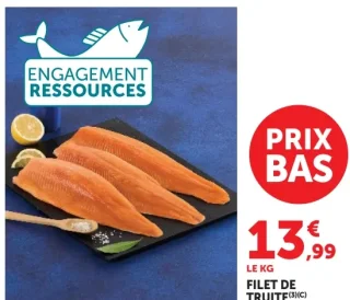 Filet de truite